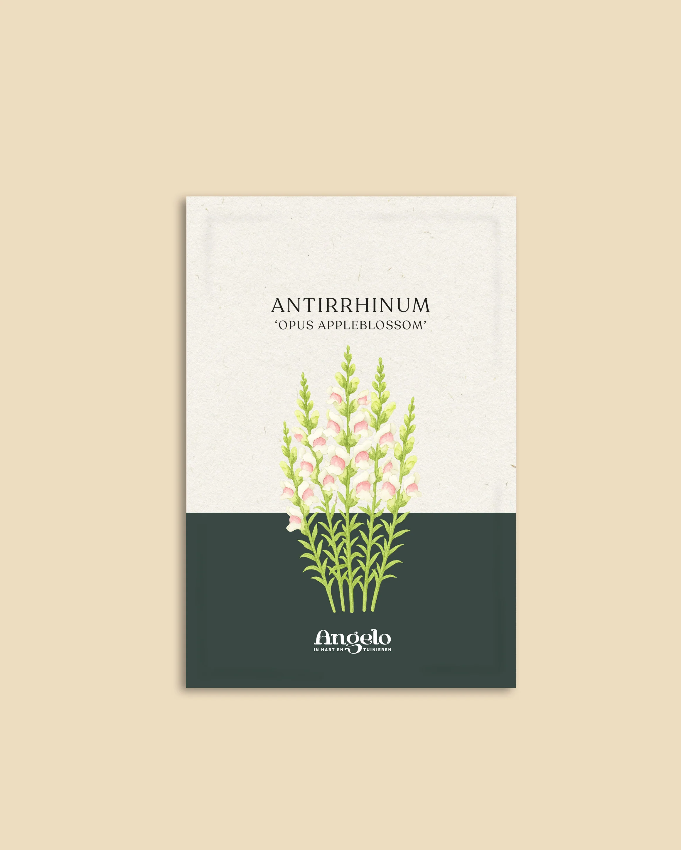 Miniatuur 2
