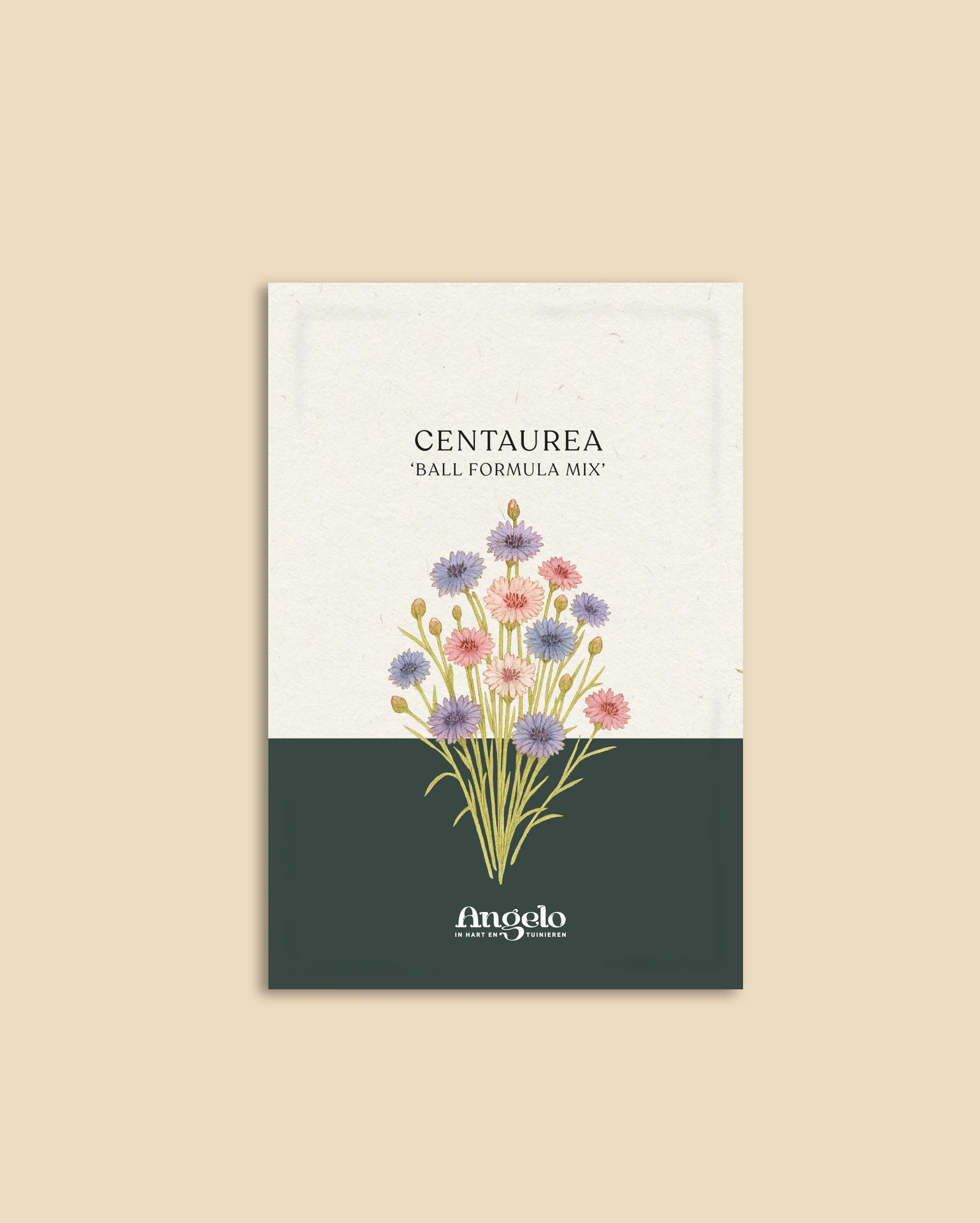 Miniatuur 2