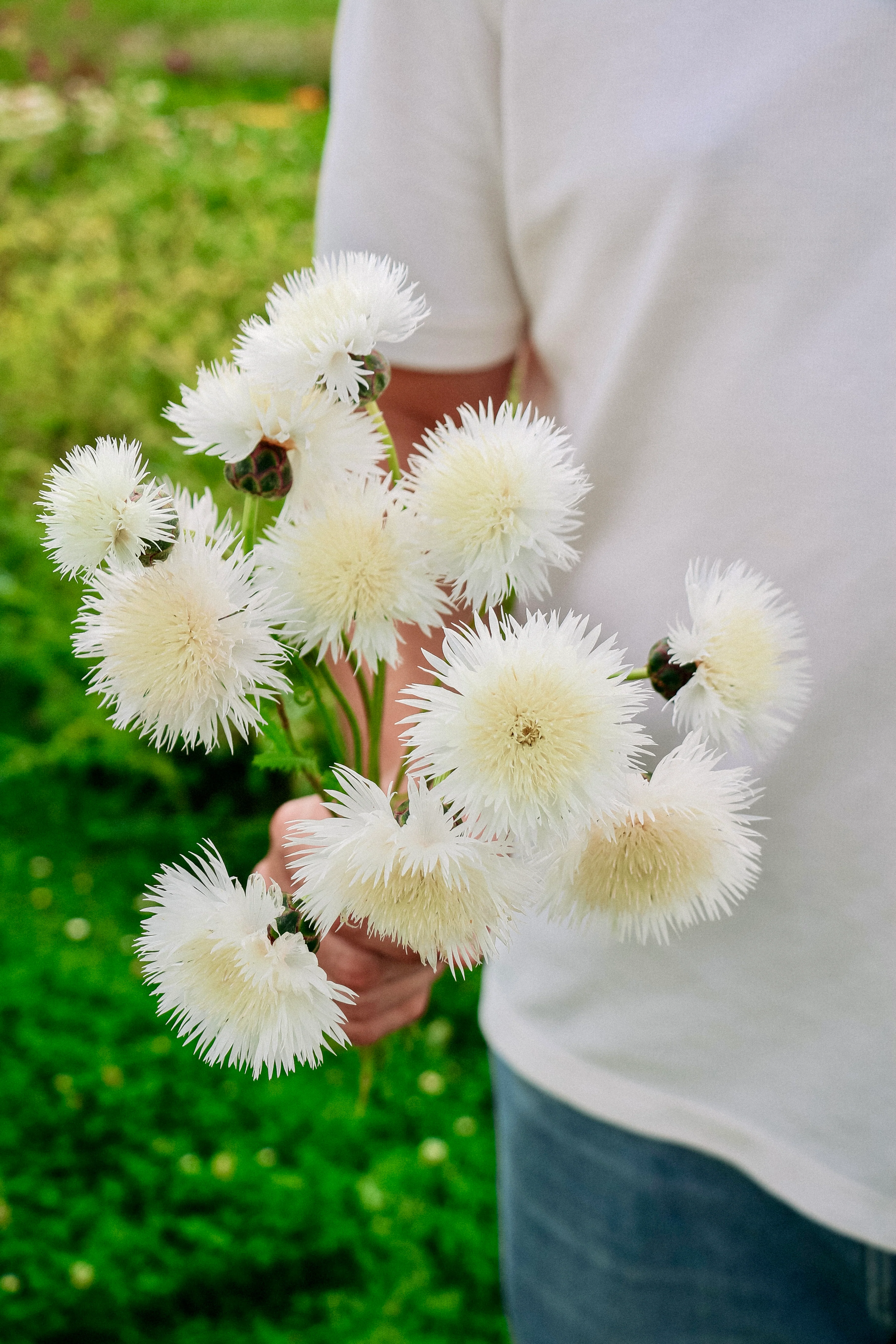 Miniatuur 1